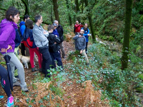 Ruta polo río da Fraga coa Plataforma dos Montes do Morrazo.
