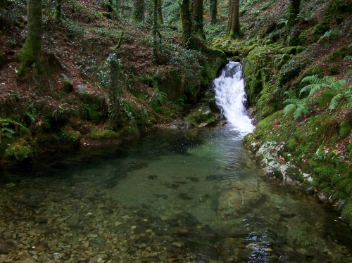 Ruta polo río da Fraga coa Plataforma dos Montes do Morrazo.