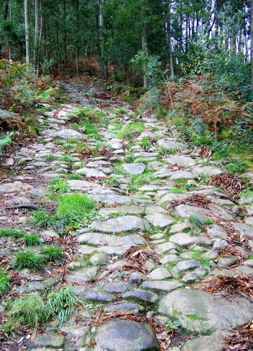 Camiño do Monte Gagán.
