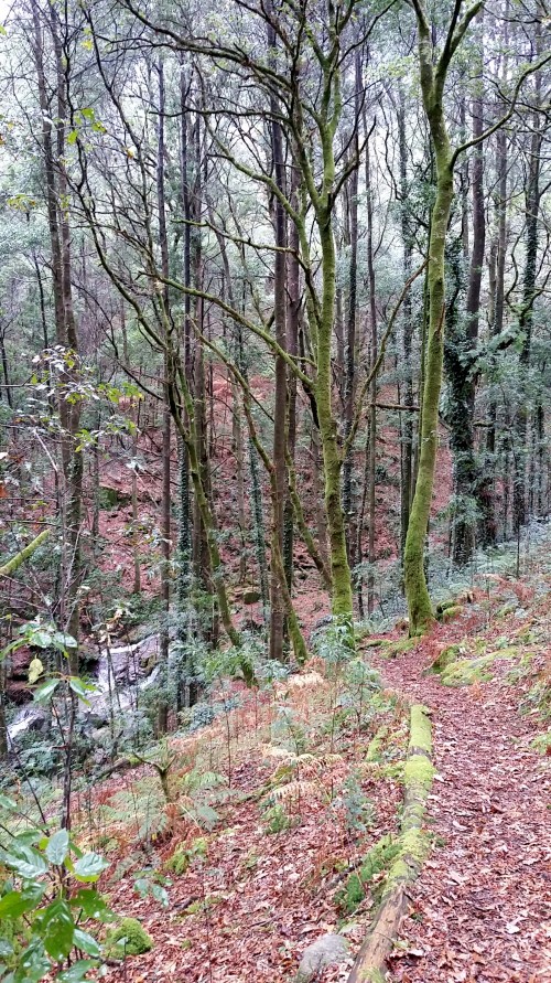 Fervenza do río da Fraga.