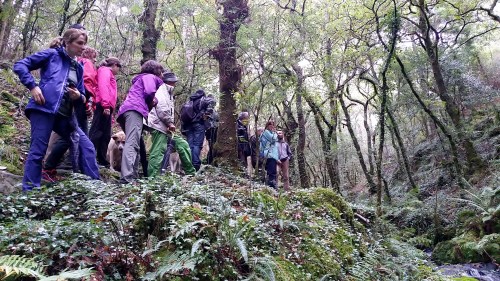 Ruta polo río da Fraga coa Plataforma dos Montes do Morrazo.