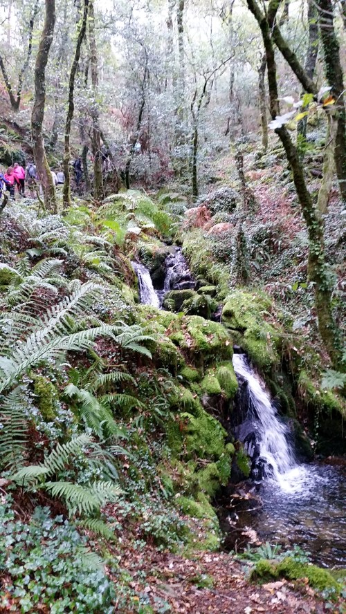 Ruta polo río da Fraga coa Plataforma dos Montes do Morrazo.