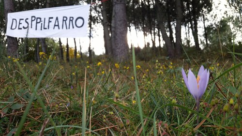 II Marcha pola Fracha 2015