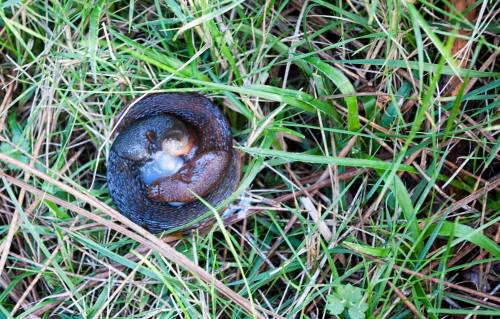 Fotografía de Antonio Costa tomada no miradoiro do Pornedo.