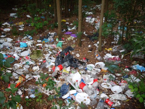 Castiñeiras (foto: Plataforma Montes do Morrazo).