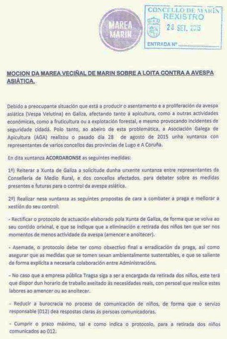 Moción de Marea Marín sobre a Vespa Velutina