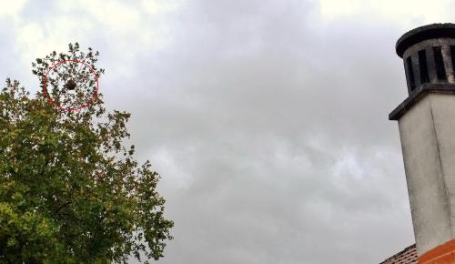 Niño de Vespa no Camiño Cortiñas