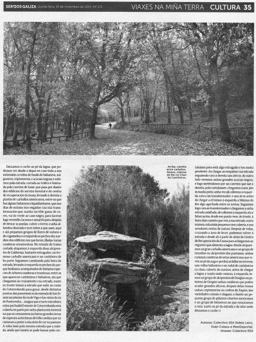 19nov15_Sermos_Castiñeiras2