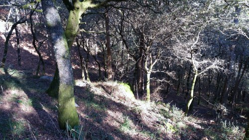 Ruta ata o Monte da Paralaia