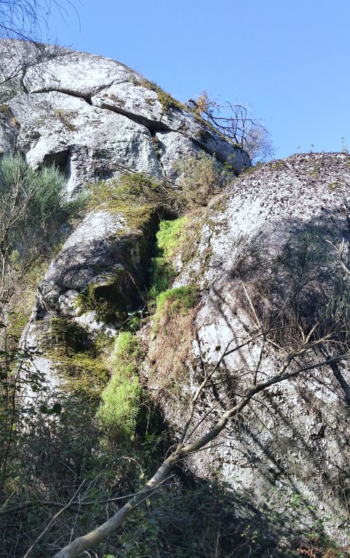 Cova da Moura ou cova da Paralaia