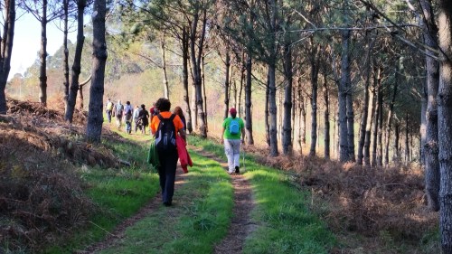 Ruta ata o Monte da Paralaia