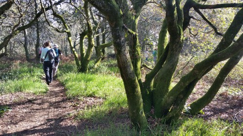 Ruta ata o Monte da Paralaia
