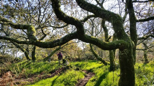 Ruta ata o Monte da Paralaia