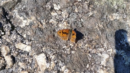 Ruta ata o Monte da Paralaia