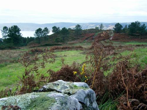 1459659_664331643598910_2111926573_n (2)