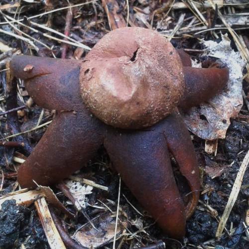 ChallengeOnNaturePhotography5