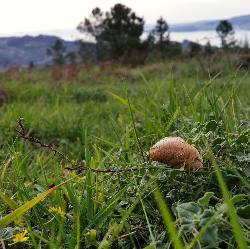 ChallengeOnNaturePhotography6a