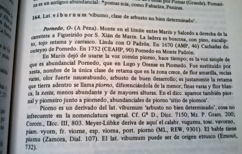 Toponimia de Marín, de Elixio Rivas
