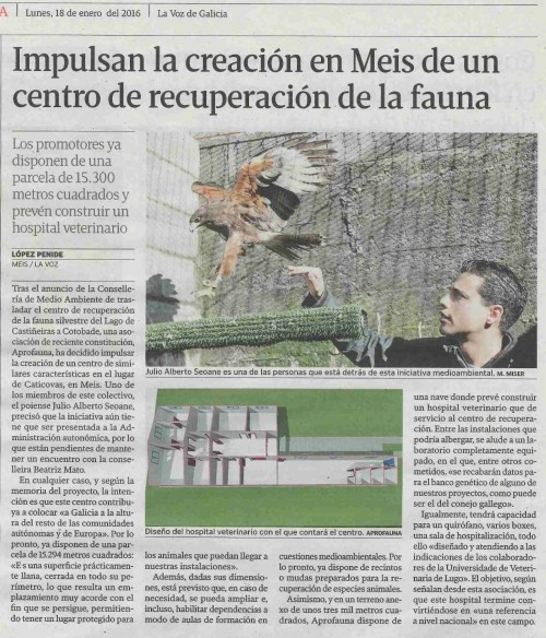 La Voz, 18 xaneiro 2016