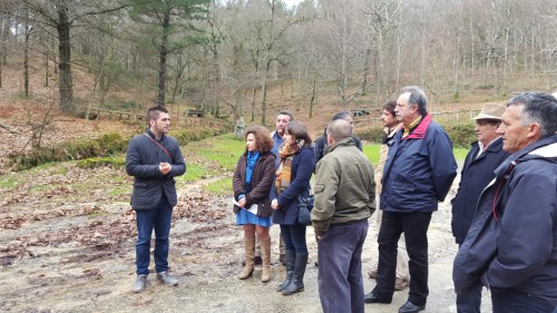 Foto: Deputación de Pontevedra