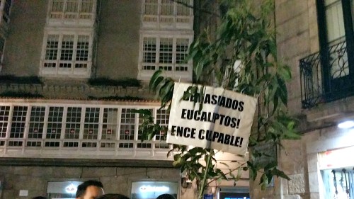 Manifestación Ence Fóra da Ría: 29 xaneiro 2016.