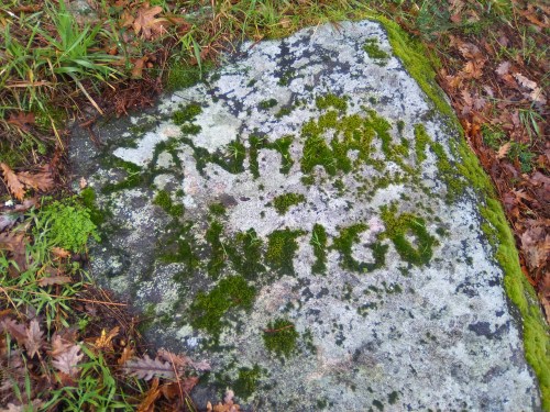 Pedra con brións a carón das estruturas descubertas do castro.