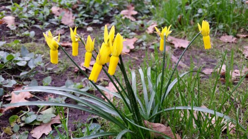 Día dos Humedais nas Brañas do Gafos con Vaipolorío.