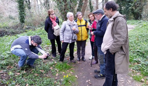 Día dos Humedais nas Brañas do Gafos con Vaipolorío.