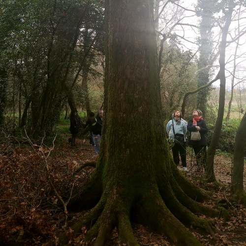 Día dos Humedais nas Brañas do Gafos con Vaipolorío.