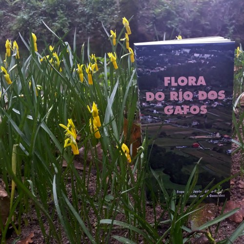 Día dos Humedais nas Brañas do Gafos con Vaipolorío.