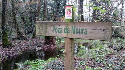 Día dos Humedais nas Brañas do Gafos con Vaipolorío.