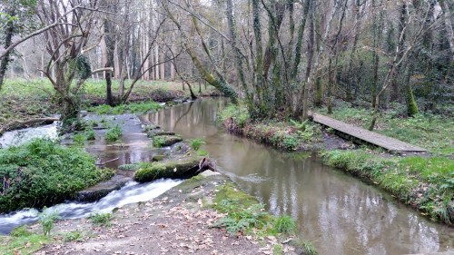 Día dos Humedais nas Brañas do Gafos con Vaipolorío.