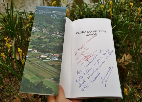 Día dos Humedais nas Brañas do Gafos con Vaipolorío.