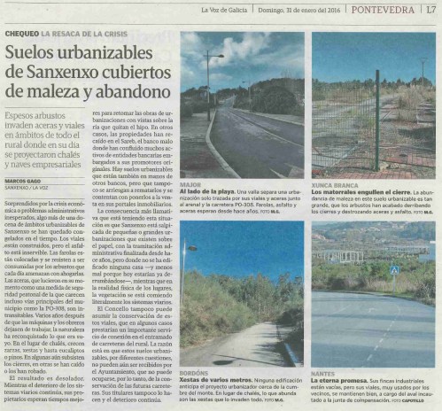 La Voz, 31 xaneiro 2016