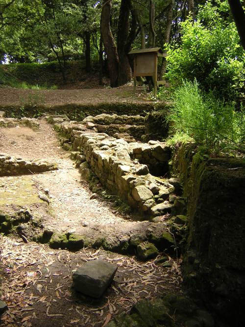 Castro Alobre (Foto, Deputación de Pontevedra).