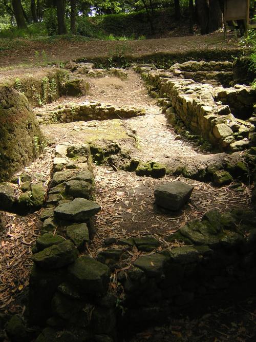 Castro Alobre (Foto, Deputación de Pontevedra).