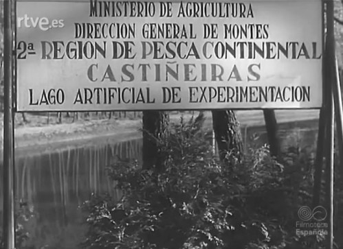 NO-DO: Repoblación Forestal