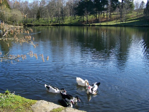 Ruta das mámoas na contorna de Castiñeiras