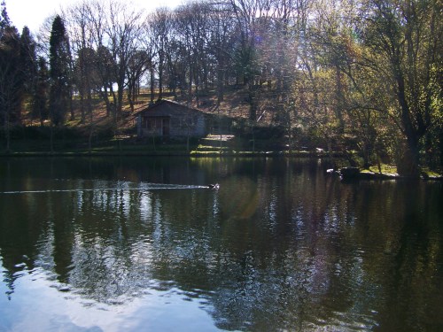 Ruta das mámoas na contorna de Castiñeiras