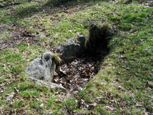 Ruta das mámoas na contorna de Castiñeiras