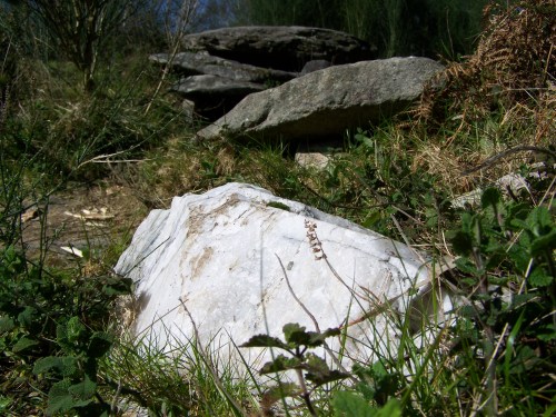 Ruta das mámoas na contorna de Castiñeiras
