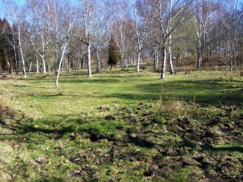 Ruta das mámoas na contorna de Castiñeiras