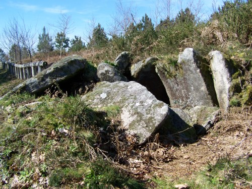 Ruta das mámoas na contorna de Castiñeiras