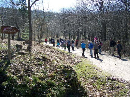 Ruta das mámoas na contorna de Castiñeiras