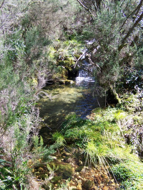 Ruta das mámoas na contorna de Castiñeiras