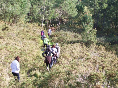 Visita ao Espazo Sete Camiños.