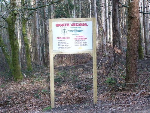 No monte veciñal de Salcedo.