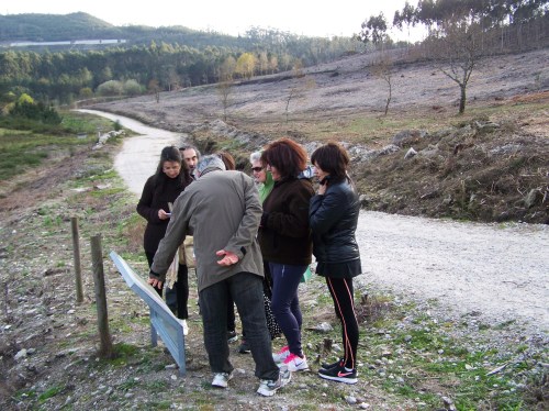 Petroglifos de Chan das Mouras.