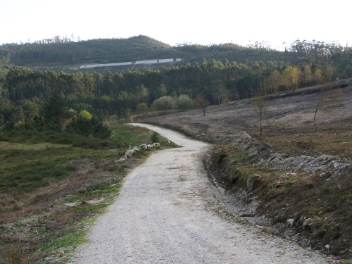 No monte veciñal de Salcedo.