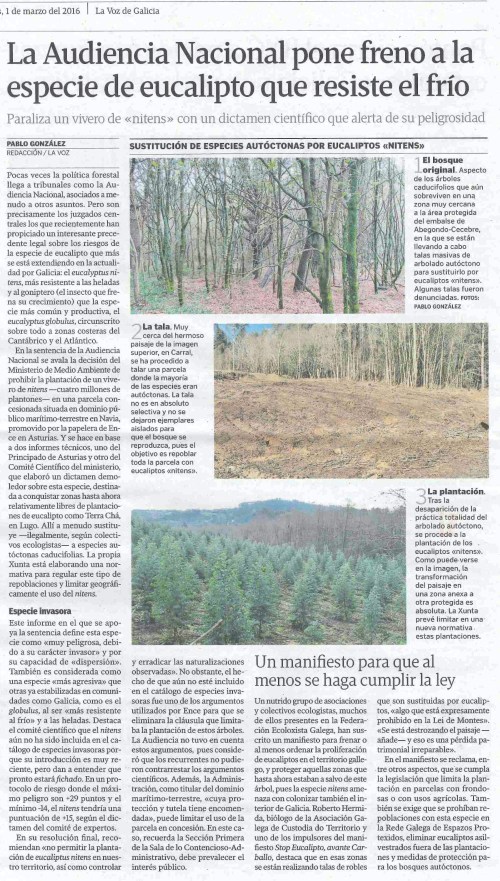 La Voz, 1 marzo 2016